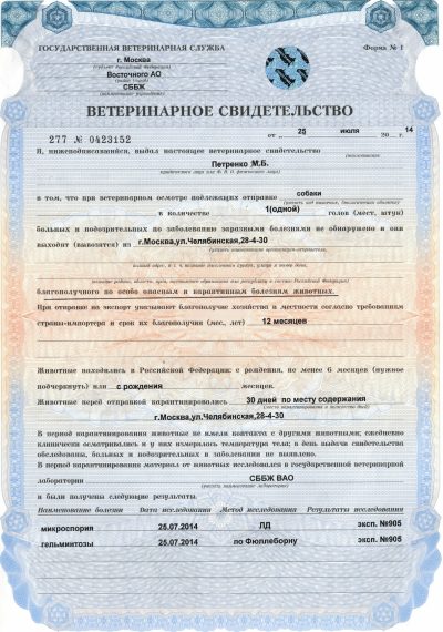 vetspravka